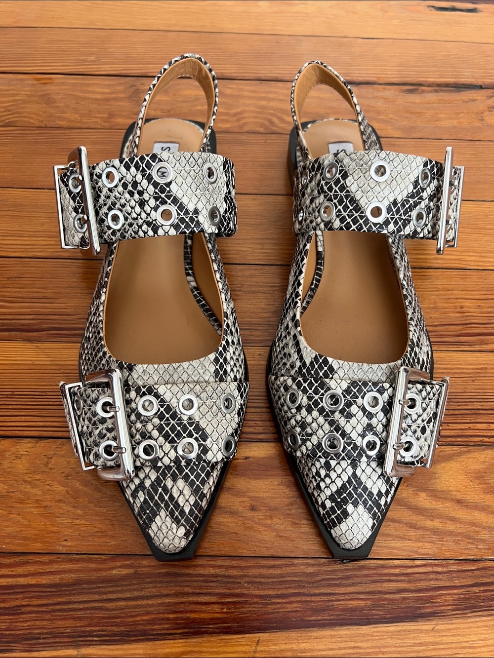 Steve Madden Graya Snake Print Buckle Pointed Toe Slingback Flats New 8.5